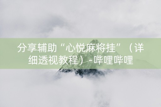 分享辅助“心悦麻将挂”（详细透视教程）-哔哩哔哩