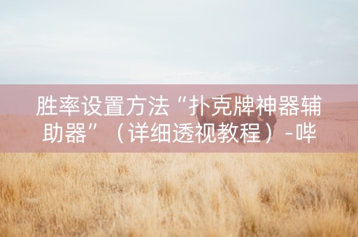 胜率设置方法“扑克牌神器辅助器”（详细透视教程）-哔哩哔哩