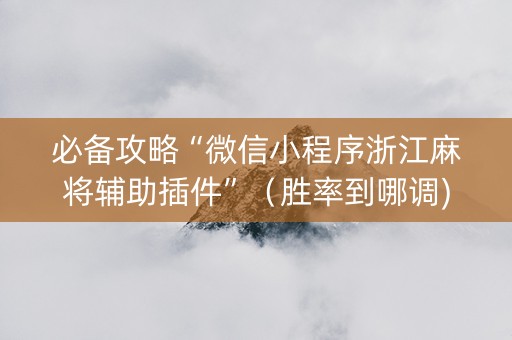 必备攻略“微信小程序浙江麻将辅助插件”（胜率到哪调)