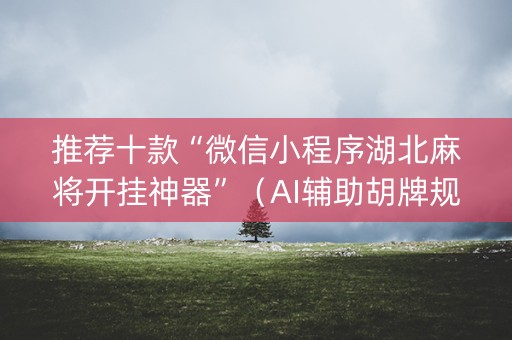 推荐十款“微信小程序湖北麻将开挂神器”（AI辅助胡牌规则)