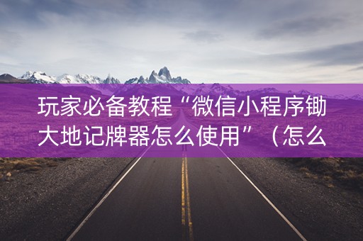 玩家必备教程“微信小程序锄大地记牌器怎么使用”（怎么增加胜率)