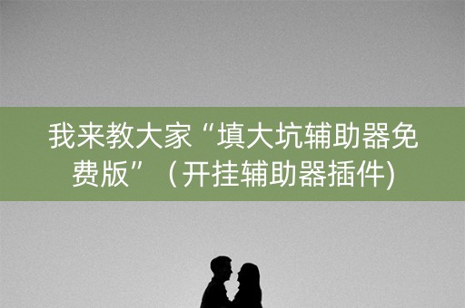 我来教大家“填大坑辅助器免费版”（开挂辅助器插件)