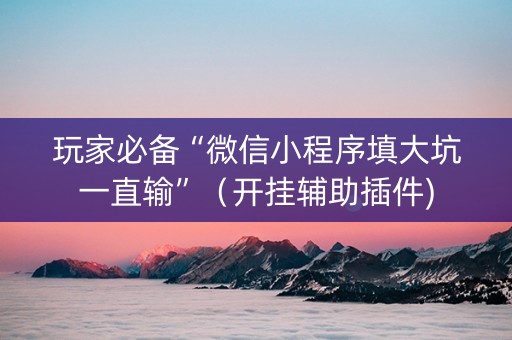玩家必备“微信小程序填大坑一直输”（开挂辅助插件)