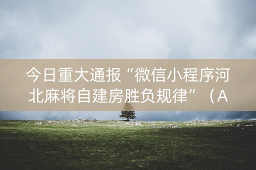 今日重大通报“微信小程序河北麻将自建房胜负规律”（AI辅助胡牌规则)