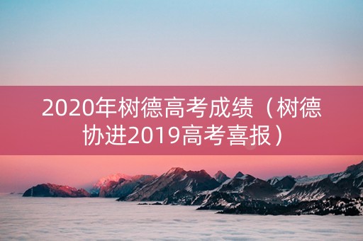 2020年树德高考成绩（树德协进2019高考喜报）