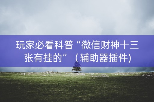 玩家必看科普“微信财神十三张有挂的”（辅助器插件)