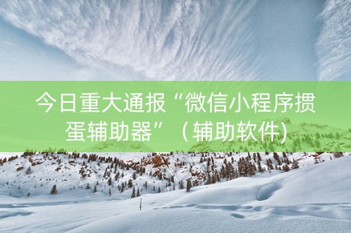今日重大通报“微信小程序掼蛋辅助器”（辅助软件)