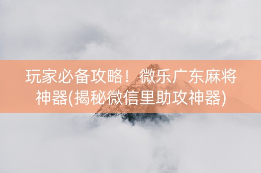 玩家必备攻略！微乐广东麻将神器(揭秘微信里助攻神器)