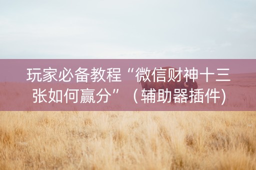 玩家必备教程“微信财神十三张如何赢分”（辅助器插件)