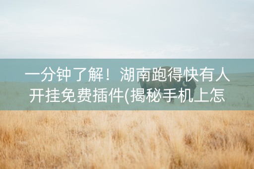 一分钟了解！湖南跑得快有人开挂免费插件(揭秘手机上怎么容易赢)