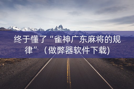终于懂了“雀神广东麻将的规律”（做弊器软件下载)