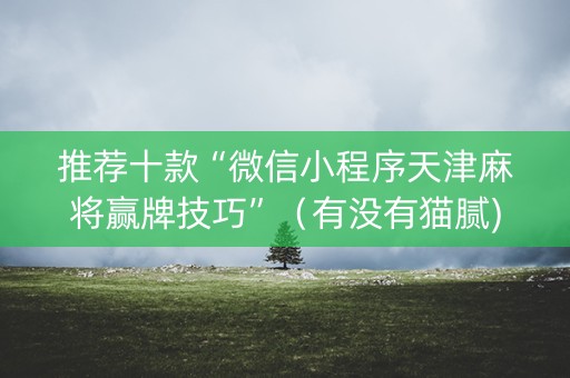 推荐十款“微信小程序天津麻将赢牌技巧”（有没有猫腻)