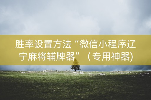 胜率设置方法“微信小程序辽宁麻将辅牌器”（专用神器)