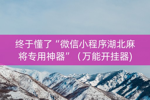 终于懂了“微信小程序湖北麻将专用神器”（万能开挂器)