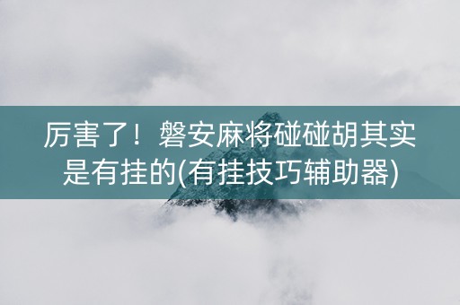 厉害了！磐安麻将碰碰胡其实是有挂的(有挂技巧辅助器)