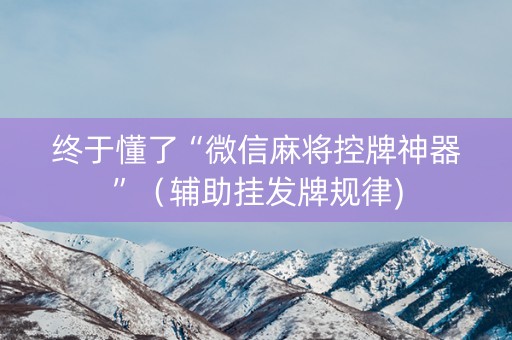 终于懂了“微信麻将控牌神器”（辅助挂发牌规律)