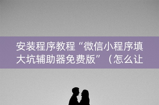 安装程序教程“微信小程序填大坑辅助器免费版”（怎么让系统给你发好牌)