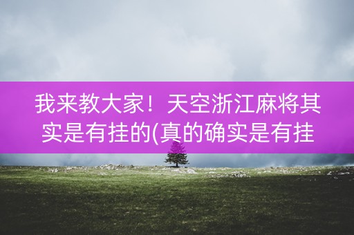 我来教大家！天空浙江麻将其实是有挂的(真的确实是有挂)