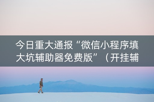 今日重大通报“微信小程序填大坑辅助器免费版”（开挂辅助器脚本)
