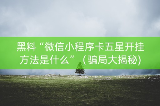 黑料“微信小程序卡五星开挂方法是什么”（骗局大揭秘)