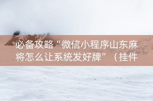 必备攻略“微信小程序山东麻将怎么让系统发好牌”（挂件神器)