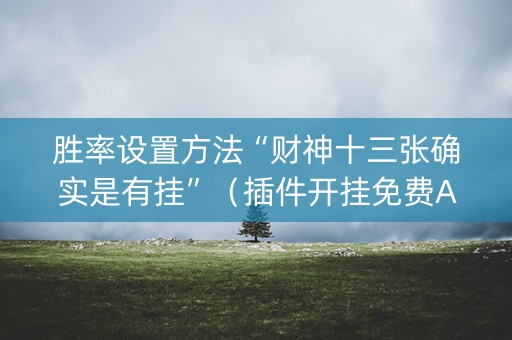 胜率设置方法“财神十三张确实是有挂”（插件开挂免费AI)