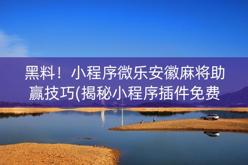 黑料！小程序微乐安徽麻将助赢技巧(揭秘小程序插件免费)