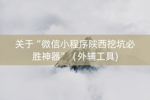 关于“微信小程序陕西挖坑必胜神器”（外辅工具)