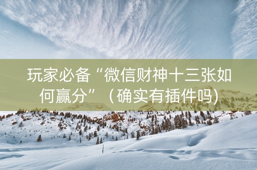 玩家必备“微信财神十三张如何赢分”（确实有插件吗)