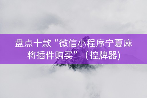 盘点十款“微信小程序宁夏麻将插件购买”（控牌器)