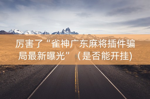 厉害了“雀神广东麻将插件骗局最新曝光”（是否能开挂)