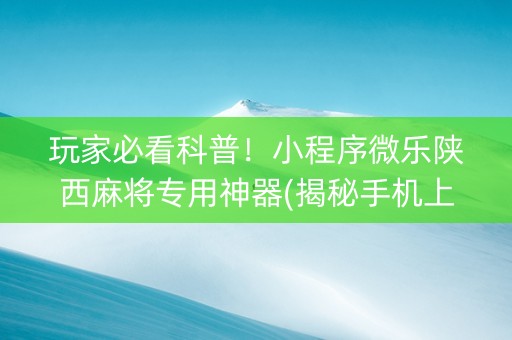 玩家必看科普！小程序微乐陕西麻将专用神器(揭秘手机上攻略插件)