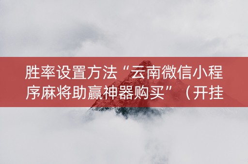 胜率设置方法“云南微信小程序麻将助赢神器购买”（开挂辅助脚本)