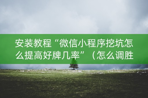 安装教程“微信小程序挖坑怎么提高好牌几率”（怎么调胜率)