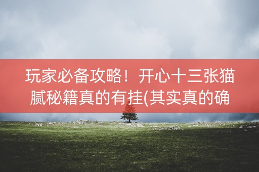 玩家必备攻略！开心十三张猫腻秘籍真的有挂(其实真的确实有挂)