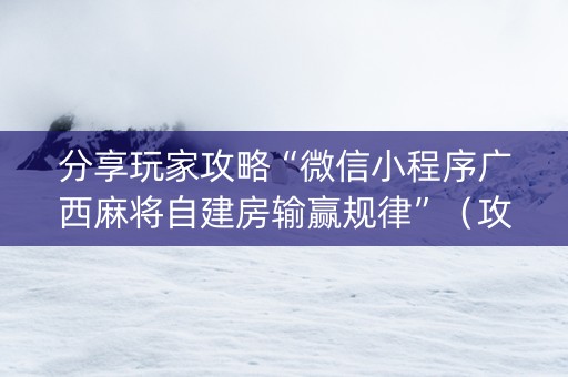 分享玩家攻略“微信小程序广西麻将自建房输赢规律”（攻略插件)