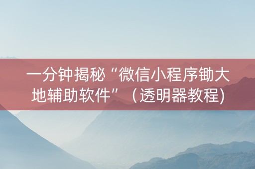 一分钟揭秘“微信小程序锄大地辅助软件”（透明器教程)