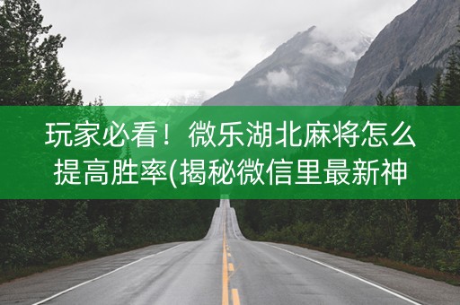 玩家必看！微乐湖北麻将怎么提高胜率(揭秘微信里最新神器下载)