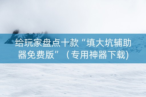 给玩家盘点十款“填大坑辅助器免费版”（专用神器下载)