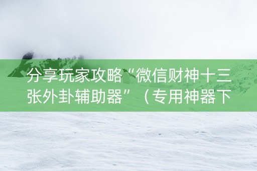 分享玩家攻略“微信财神十三张外卦辅助器”（专用神器下载)
