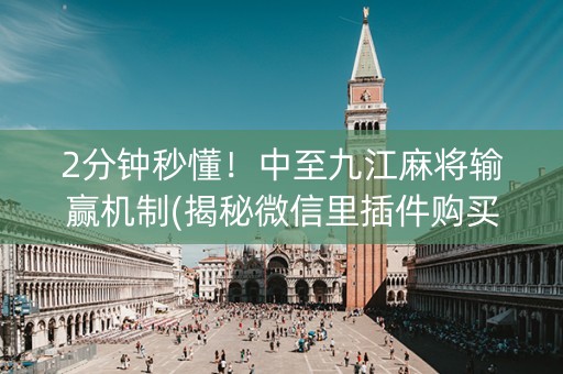 2分钟秒懂！中至九江麻将输赢机制(揭秘微信里插件购买)