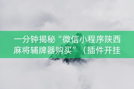 一分钟揭秘“微信小程序陕西麻将辅牌器购买”（插件开挂免费AI)