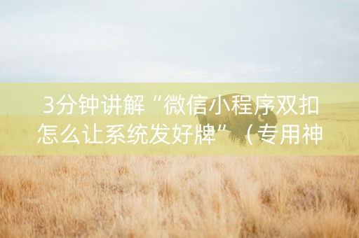 3分钟讲解“微信小程序双扣怎么让系统发好牌”（专用神器)