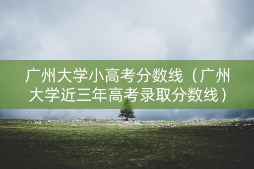 广州大学小高考分数线（广州大学近三年高考录取分数线）
