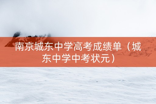南京城东中学高考成绩单（城东中学中考状元）