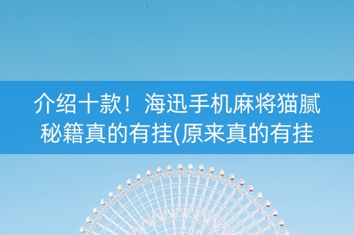 介绍十款！海迅手机麻将猫腻秘籍真的有挂(原来真的有挂)