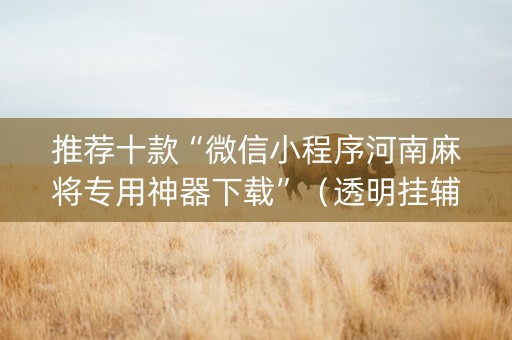 推荐十款“微信小程序河南麻将专用神器下载”（透明挂辅助器)