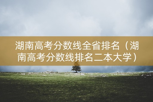 湖南高考分数线全省排名（湖南高考分数线排名二本大学）
