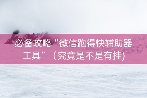 必备攻略“微信跑得快辅助器工具”（究竟是不是有挂)