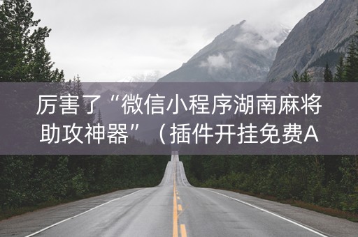 厉害了“微信小程序湖南麻将助攻神器”（插件开挂免费AI)